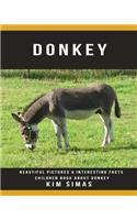Donkey