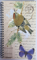 A5 Spiral Notebook - Goldcrest