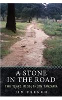 Stone in the Road
