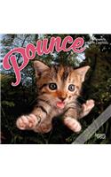 Pounce 2021 Mini 7x7