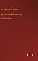 Haushahn und Paradiesvogel