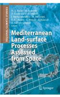 Mediterranean Land-Surface Processes Assessed from Space