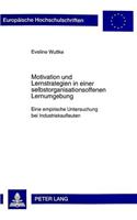 Motivation Und Lernstrategien in Einer Selbstorganisationsoffenen Lernumgebung