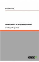 Die Metapher im Bedeutungswandel