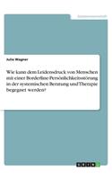 Wie kann dem Leidensdruck von Menschen mit einer Borderline-Persönlichkeitsstörung in der systemischen Beratung und Therapie begegnet werden?