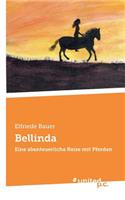 Bellinda: Eine abenteuerliche Reise mit Pferden