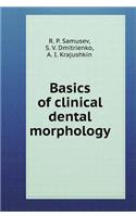 Basics of Clinical Dental Morphology