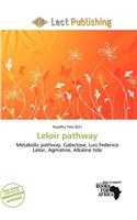 Leloir Pathway