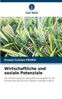 Wirtschaftliche und soziale Potenziale