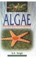 Algae