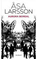 Aurora boreal