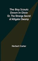 Boy Scouts Down in Dixie; or, The Strange Secret of Alligator Swamp