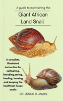 Giant African Land Snail