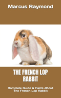 French Lop Rabbit