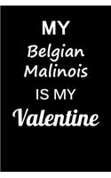 My Belgian Malinois Is My Valentine