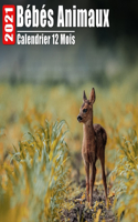 Calendrier 2021 Bébés Animaux