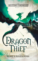 Skystone Chronicles Book 1