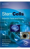 Stem Cells