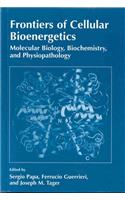 Frontiers of Cellular Bioenergetics