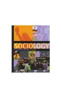 Sociology: A Global Perspective