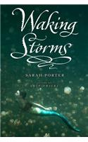 Waking Storms, 2: (2 Lost Voices Trilogy)