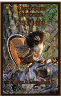 A Journey Toward Environmental Stewardship