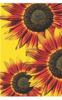 Sunflower Notebook
