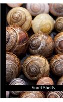 Snail Shells