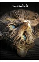 Cat Notebooks