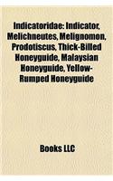 Indicatoridae: Indicator, Melichneutes, Melignomon, Prodotiscus, Thick-Billed Honeyguide, Malaysian Honeyguide, Yellow-Rumped Honeygu