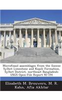 Microfossil Assemblages from the Eocene Sylhet Limestone and Kopili Formation, Sylhet District, Northeast Bangladesh: Usgs Open-File Report 92-191(English)
