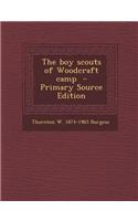 The Boy Scouts of Woodcraft Camp