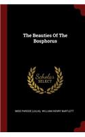 The Beauties Of The Bosphorus