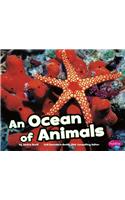 Ocean of Animals