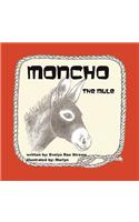 Moncho the Mule