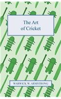 Art of Cricket