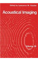 Acoustical Imaging