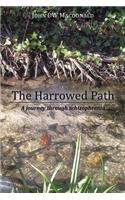 Harrowed Path: A Journey Through Schizophrenia