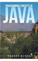 Programming Concepts In Java