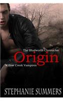 The Bludworth Chronicles: Origin