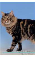 Norwegian Forest Cat Affirmations Workbook Norwegian Forest Cat Presents: Positive and Loving Affirmations Workbook. Includes: Mentoring Questions, Guidance, Supporting You.