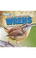 A Bird Watcher's Guide to Wrens