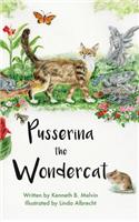 Pusserina the Wondercat