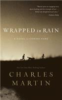 Wrapped in Rain