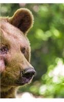 Bear Notebook