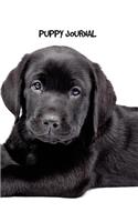 Puppy Journal: 8.5 x 11 inch dog notebook, Labrador Retriever, Black Labrador, college ruled lined composition book, 150 pages