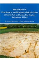 Excavation of Prehistoric and Romano-British Sites at Marnel Park and Merton Rise (Popley) Basingstoke, 2004-8