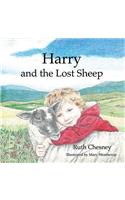 Harry and the Lost Sheep