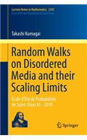 Random Walks on Disordered Media and their Scaling Limits