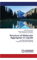 Structure of Molecular Aggregates in Liquids